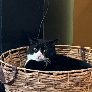 Meet your Posher, Maria